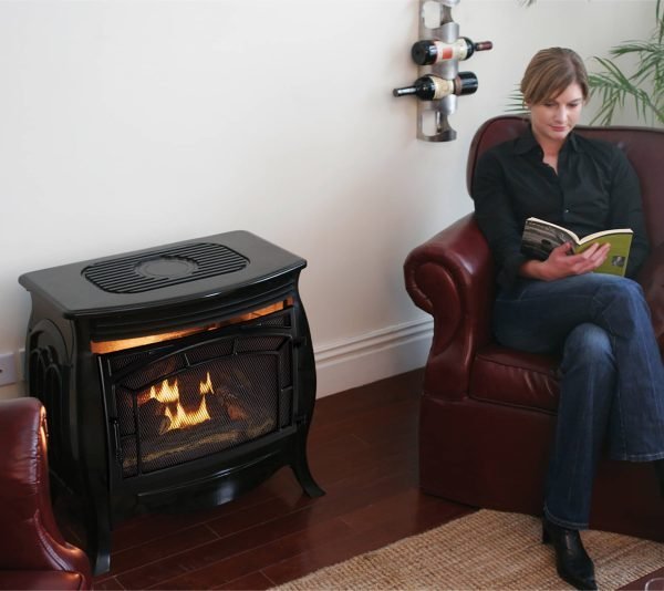 Duluth Forge FDSR25-GF Gas Stove 33.1kg